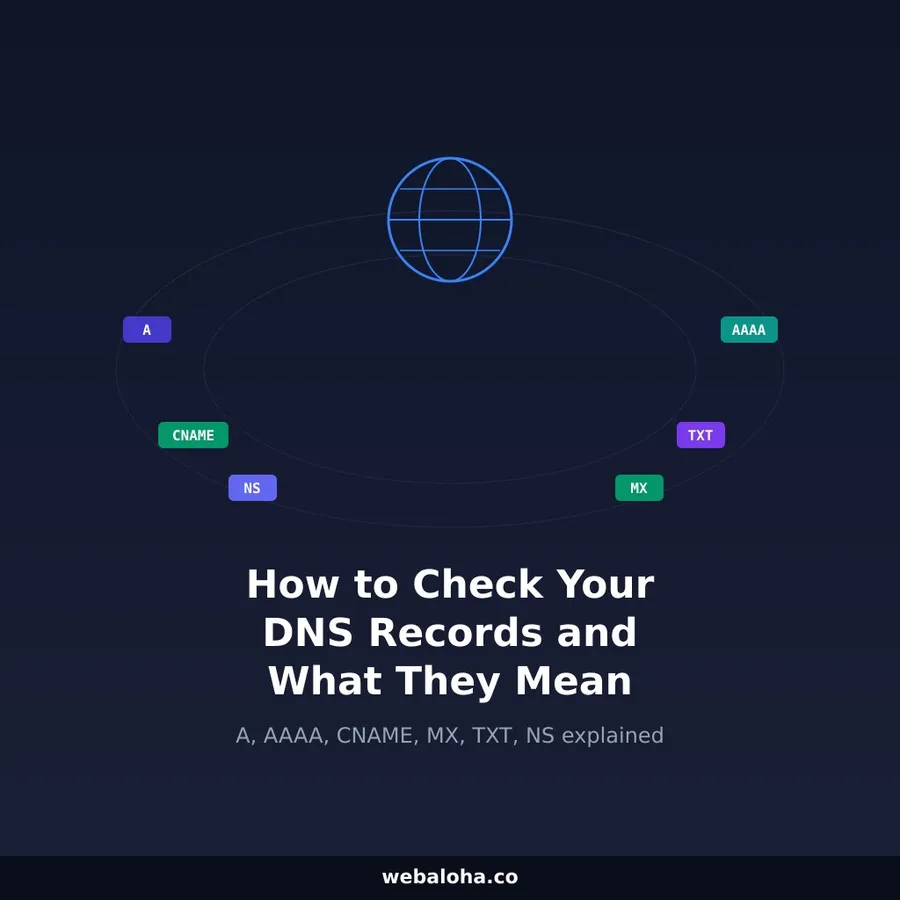 How to Check Your Website's DNS Records and What They Mean